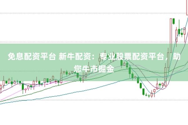 免息配资平台 新牛配资：专业股票配资平台，助您牛市掘金