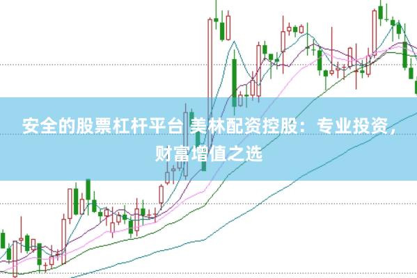 安全的股票杠杆平台 美林配资控股：专业投资，财富增值之选