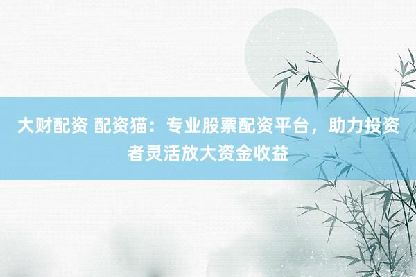 大财配资 配资猫：专业股票配资平台，助力投资者灵活放大资金收益
