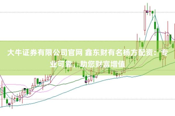 大牛证券有限公司官网 鑫东财有名杨方配资：专业可靠，助您财富增值