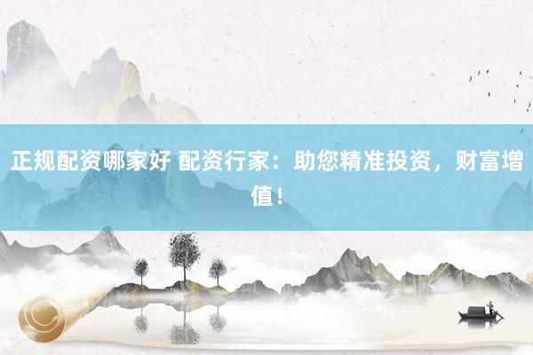 正规配资哪家好 配资行家：助您精准投资，财富增值！