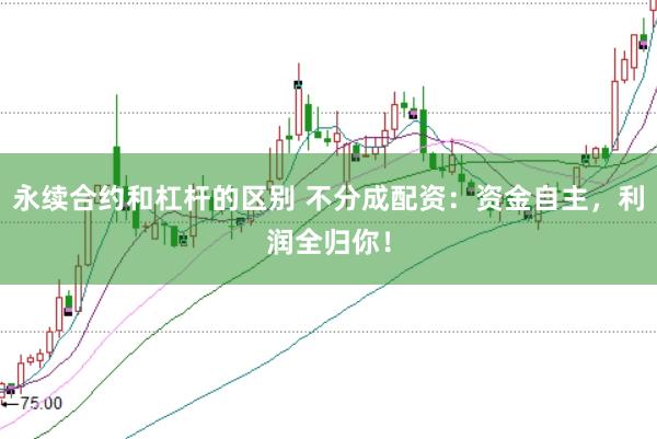 永续合约和杠杆的区别 不分成配资：资金自主，利润全归你！