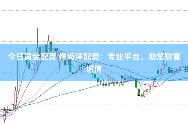 今日黄金配资 佟海洋配资：专业平台，助您财富增值