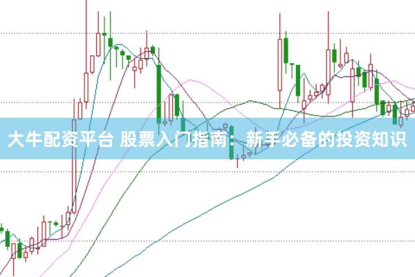 大牛配资平台 股票入门指南：新手必备的投资知识