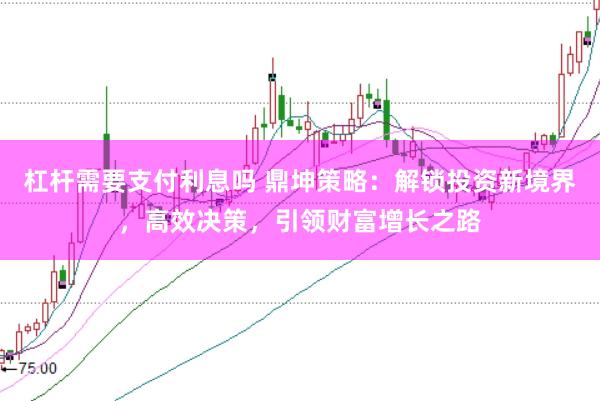 杠杆需要支付利息吗 鼎坤策略：解锁投资新境界，高效决策，引领财富增长之路