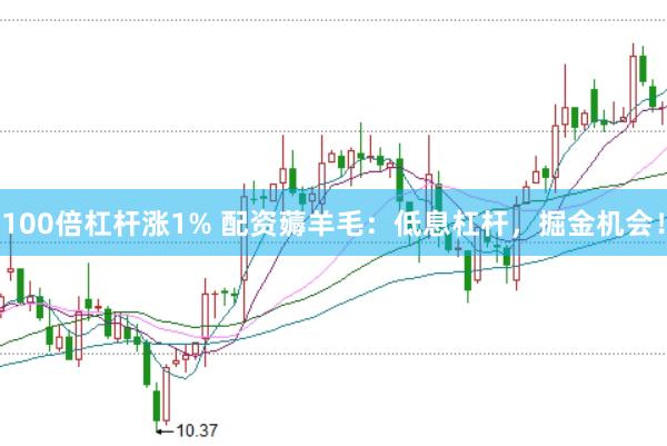 100倍杠杆涨1% 配资薅羊毛：低息杠杆，掘金机会！