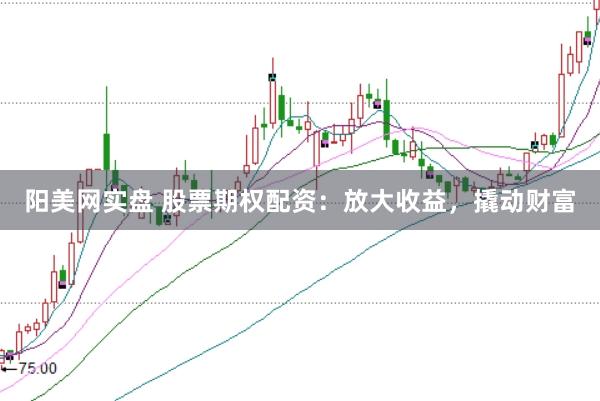 阳美网实盘 股票期权配资：放大收益，撬动财富