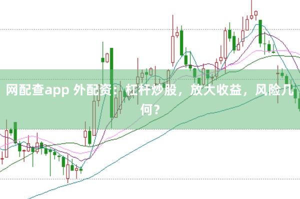 网配查app 外配资:杠杆炒股,放大收益,风险几何?