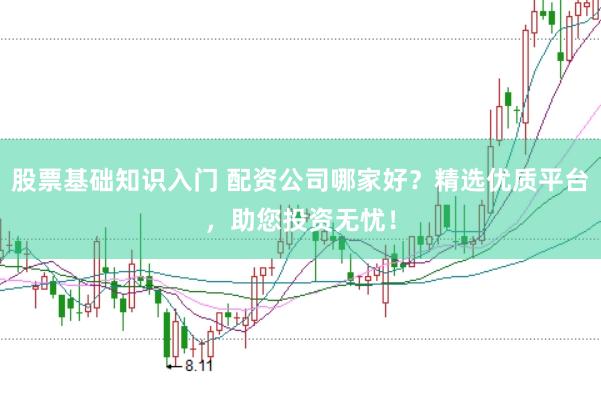 股票基础知识入门 配资公司哪家好？精选优质平台，助您投资无忧！