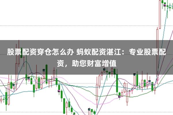 股票配资穿仓怎么办 蚂蚁配资湛江：专业股票配资，助您财富增值