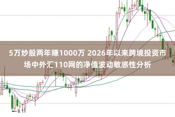 5万炒股两年赚1000万 2026年以来跨境投资市场中外汇110网的净值波动敏感性分析
