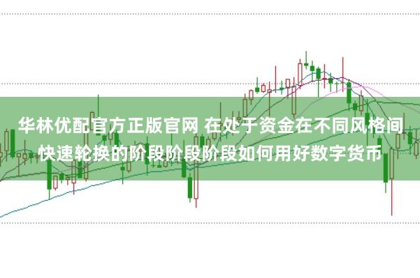 华林优配官方正版官网 在处于资金在不同风格间快速轮换的阶段阶段阶段如何用好数字货币