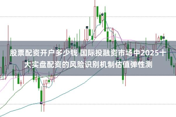 股票配资开户多少钱 国际投融资市场中2025十大实盘配资的风险识别机制估值弹性测