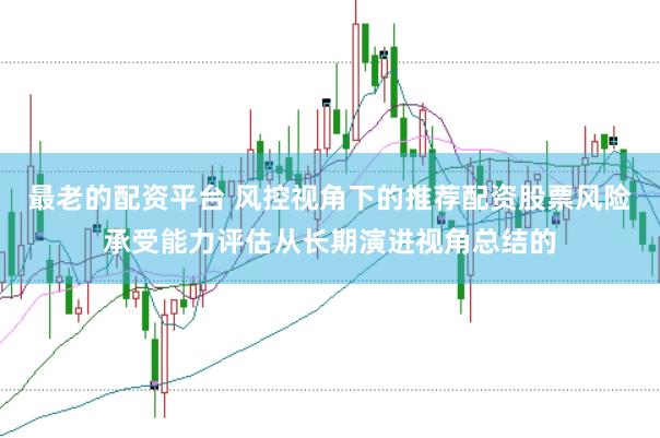 最老的配资平台 风控视角下的推荐配资股票风险承受能力评估从长期演进视角总结的