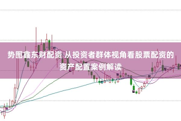 势图鑫东财配资 从投资者群体视角看股票配资的资产配置案例解读