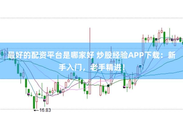 最好的配资平台是哪家好 炒股经验APP下载:新手入门,老手精进!