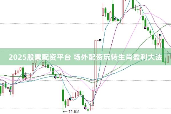 2025股票配资平台 场外配资玩转生肖盈利大法