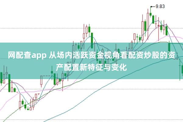 网配查app 从场内活跃资金视角看配资炒股的资产配置新特征与变化