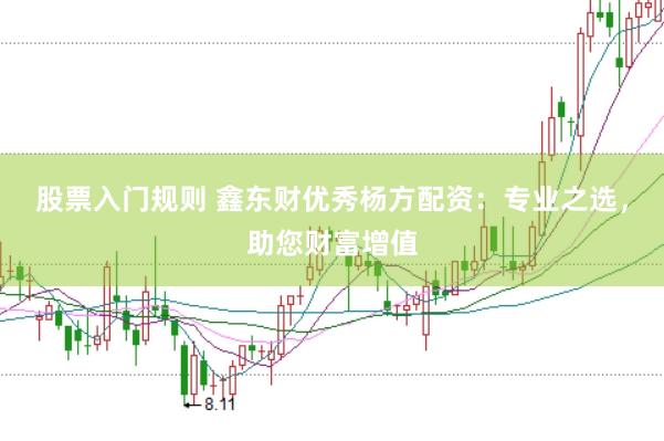 股票入门规则 鑫东财优秀杨方配资：专业之选，助您财富增值
