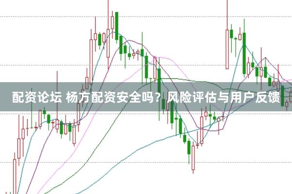 配资论坛 杨方配资安全吗?风险评估与用户反馈